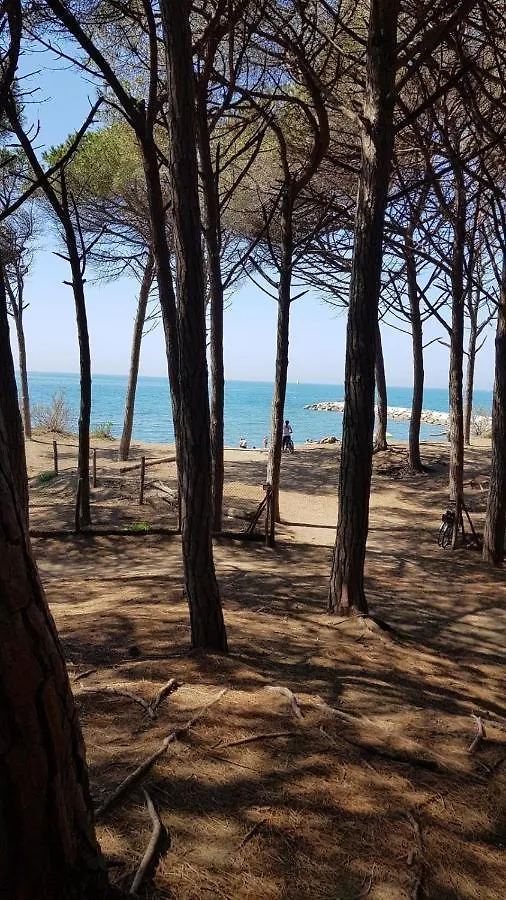 La Casa Dal Viale Al Mare Apartment Cecina  Cecina (Livorno)