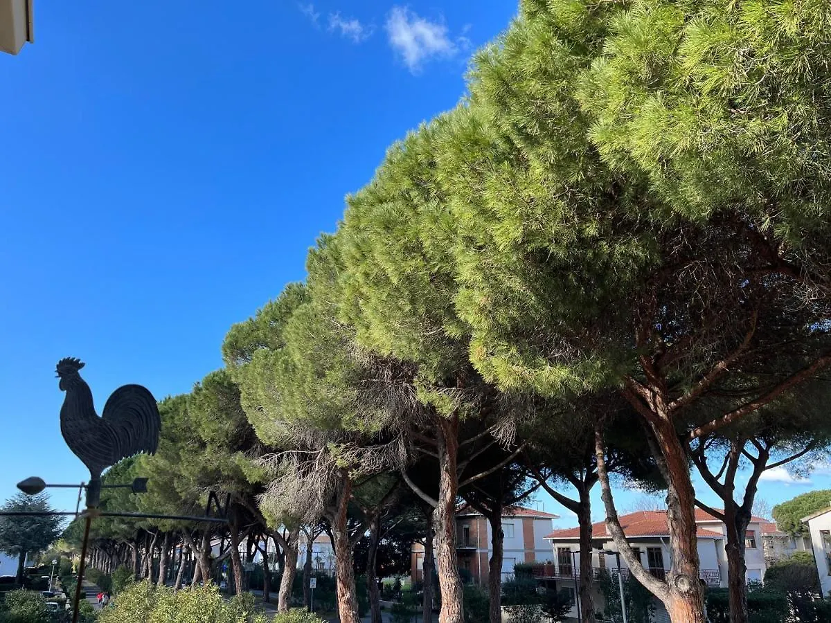 La Casa Dal Viale Al Mare Apartment Cecina  Cecina (Livorno)