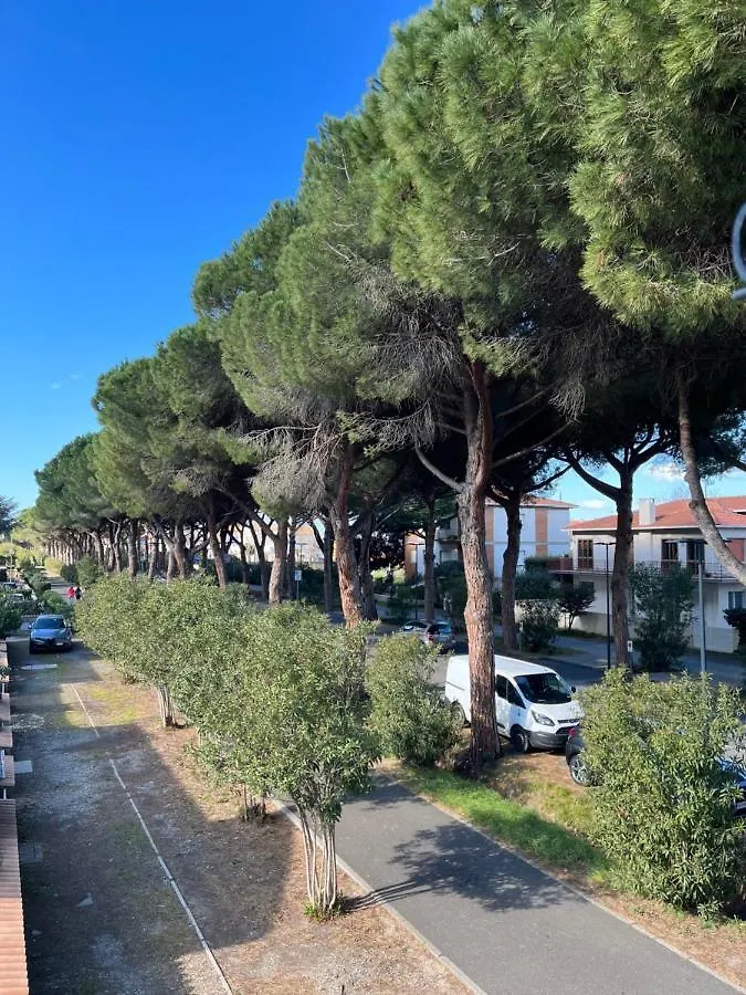 La Casa Dal Viale Al Mare Apartment Cecina