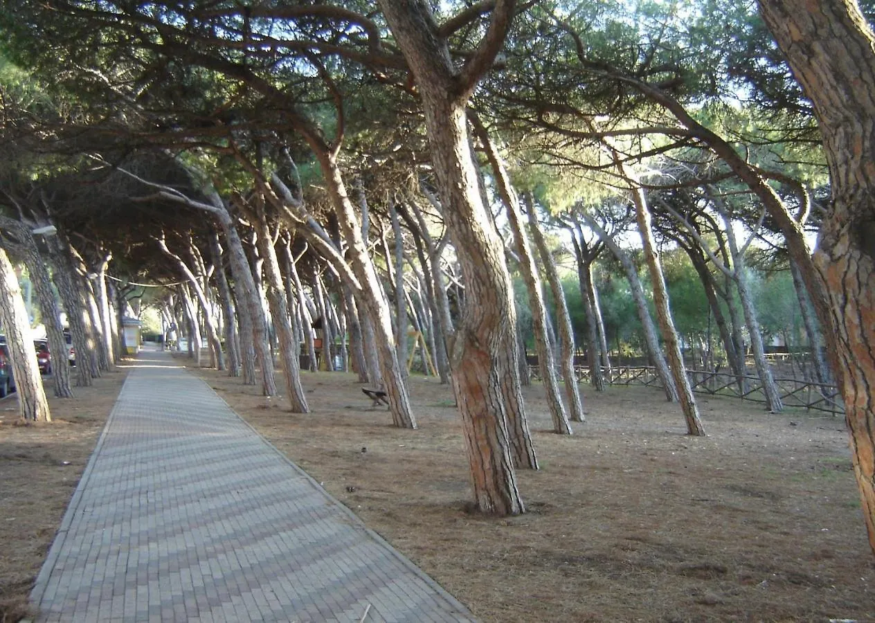 La Casa Dal Viale Al Mare Apartment Cecina